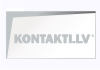 Latvijas Nacionālā bibliotēka, Bibliogrāfijas institūts, Grāmatu bibliogrāfijas nodaļa
